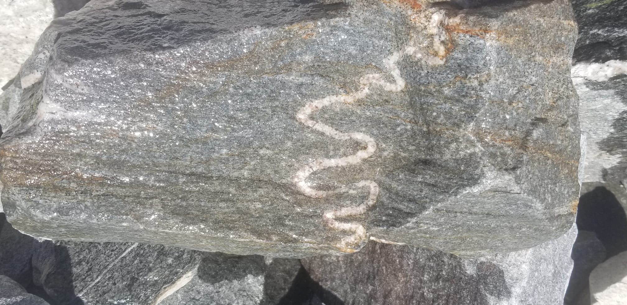 Oro Cruz - ductile deformation of pegmatite dyke in Tumco schist 2022-04-12